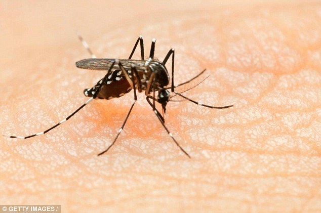 Malaria is a mosquito-borne disease caused by a single-celled parasite that passes from an infected female Anopheles mosquito