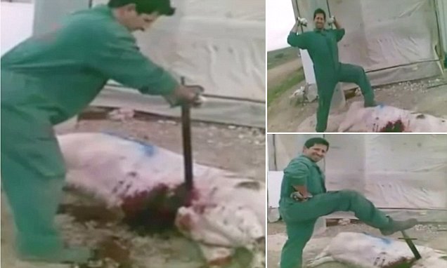 Barbaric video shows Spanish farm workers in Murcia beating ... - Daily Mail