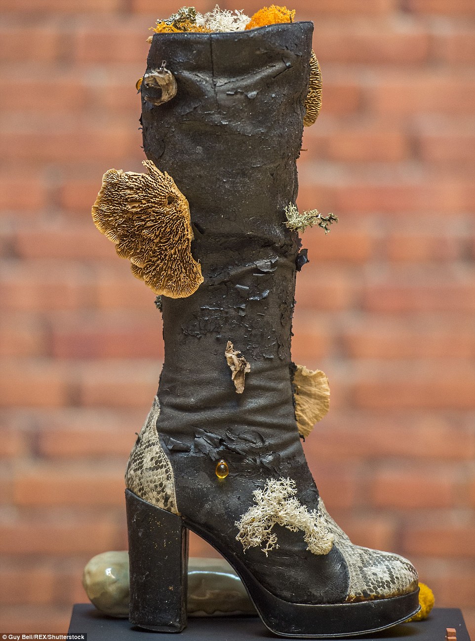 Hamilton has also produced Natural Livin' Boot which shows a tatty old piece of footwear, to go with her brick suit and giant buttox